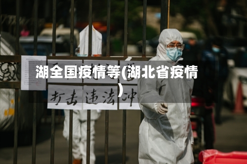 湖全国疫情等(湖北省疫情)-第3张图片