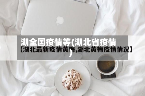 湖全国疫情等(湖北省疫情)-第2张图片