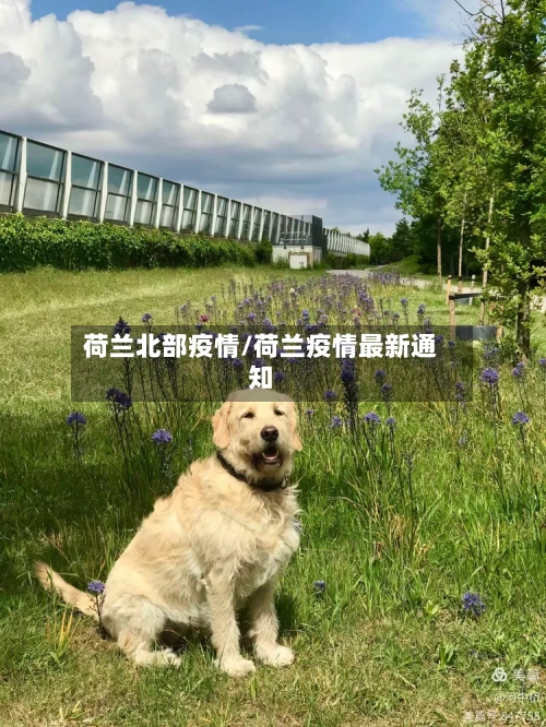 荷兰北部疫情/荷兰疫情最新通知-第2张图片