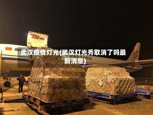武汉疫情灯光(武汉灯光秀取消了吗最新消息)