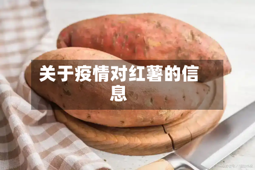 关于疫情对红薯的信息
