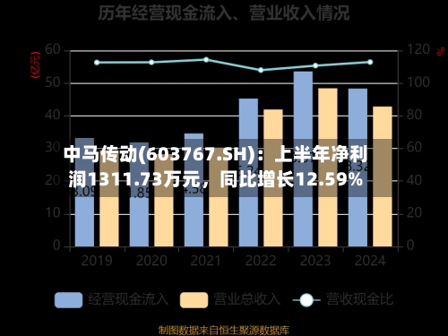 中马传动(603767.SH)：上半年净利润1311.73万元，同比增长12.59%