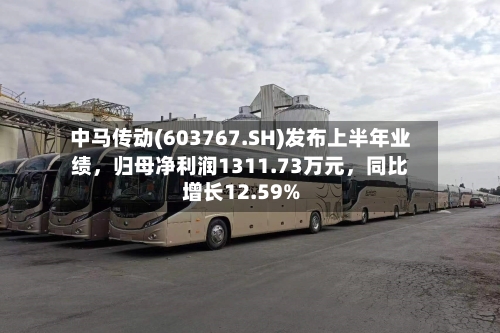 中马传动(603767.SH)发布上半年业绩，归母净利润1311.73万元，同比增长12.59%-第3张图片
