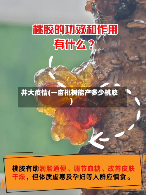 井大疫情(一亩桃树能产多少桃胶)