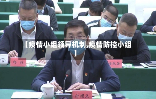 【疫情小组领导机制,疫情防控小组】