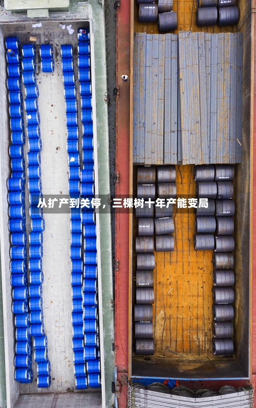 从扩产到关停，三棵树十年产能变局-第3张图片