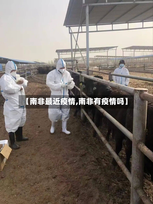 【南非最近疫情,南非有疫情吗】