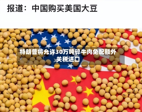 特朗普将允许30万吨碎牛肉免配额外关税进口-第2张图片