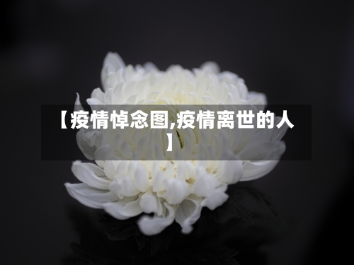 【疫情悼念图,疫情离世的人】-第2张图片
