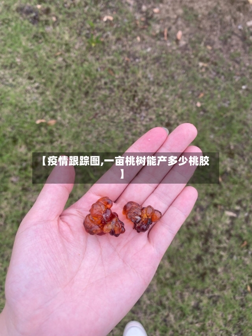 【疫情跟踪图,一亩桃树能产多少桃胶】-第3张图片