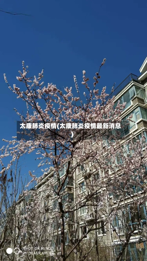 太康肺炎疫情(太康肺炎疫情最新消息)-第2张图片