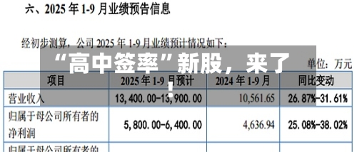 “高中签率”新股，来了！-第3张图片