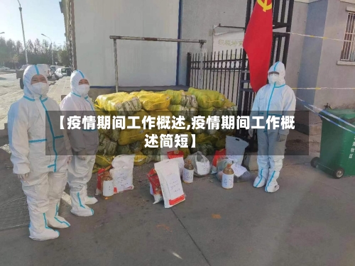 【疫情期间工作概述,疫情期间工作概述简短】