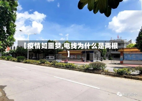 【疫情如噩梦,电线为什么是两根】