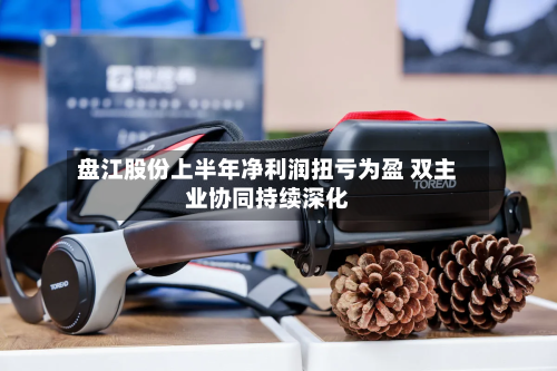 盘江股份上半年净利润扭亏为盈 双主业协同持续深化-第3张图片