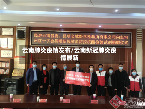 云南肺炎疫情发布/云南新冠肺炎疫情最新-第3张图片