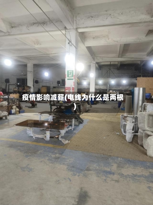 疫情影响减薪(电线为什么是两根)