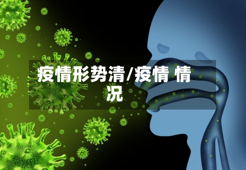 疫情形势清/疫情 情况