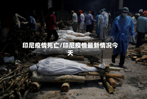 印尼疫情死亡/印尼疫情最新情况今天-第2张图片