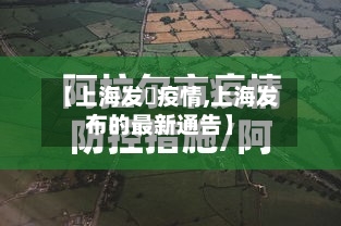 【上海发佈疫情,上海发布的最新通告】