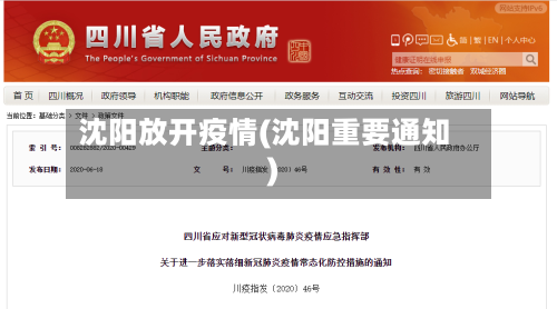 沈阳放开疫情(沈阳重要通知)-第2张图片