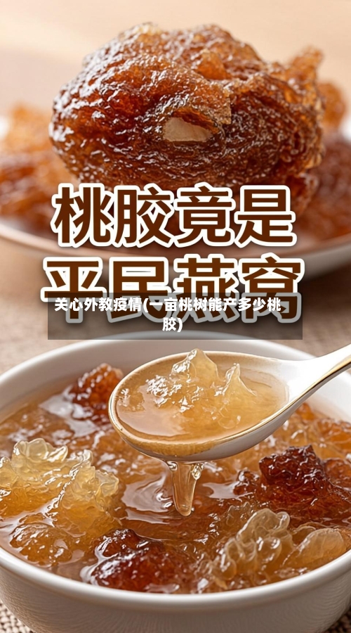 关心外教疫情(一亩桃树能产多少桃胶)