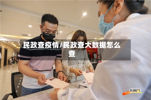 民政查疫情/民政查大数据怎么查-第3张图片