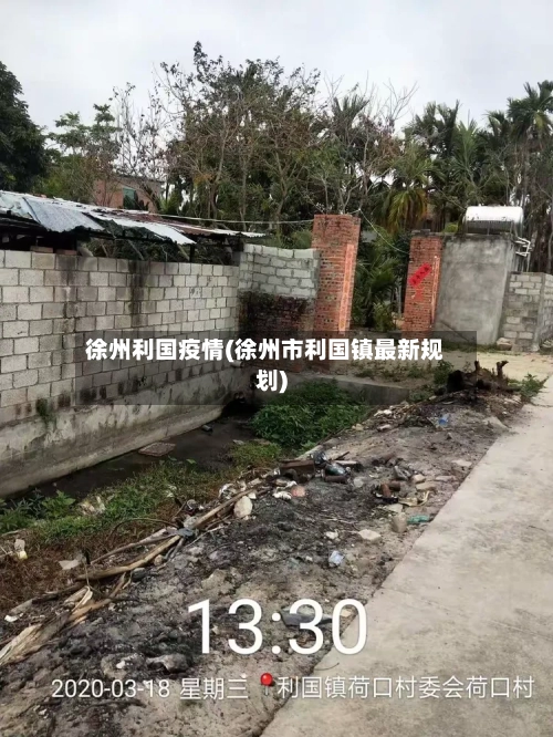 徐州利国疫情(徐州市利国镇最新规划)