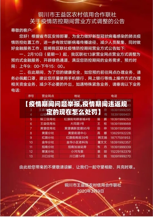 【疫情期间问题举报,疫情期间违返规定的现在怎么处罚】