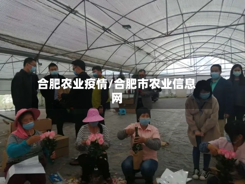 合肥农业疫情/合肥市农业信息网-第2张图片