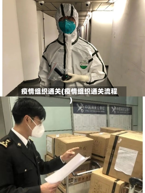 疫情组织通关(疫情组织通关流程)-第2张图片