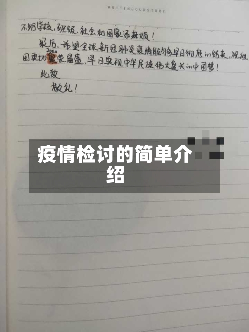 疫情检讨的简单介绍-第2张图片