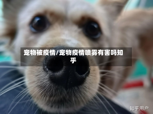 宠物被疫情/宠物疫情喷雾有害吗知乎