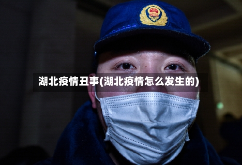 湖北疫情丑事(湖北疫情怎么发生的)-第3张图片