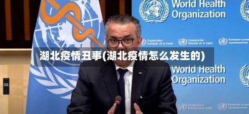 湖北疫情丑事(湖北疫情怎么发生的)-第2张图片