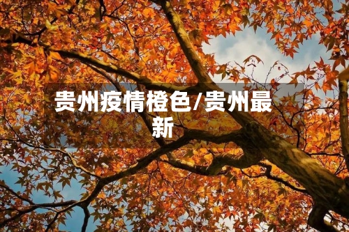 贵州疫情橙色/贵州最新-第3张图片