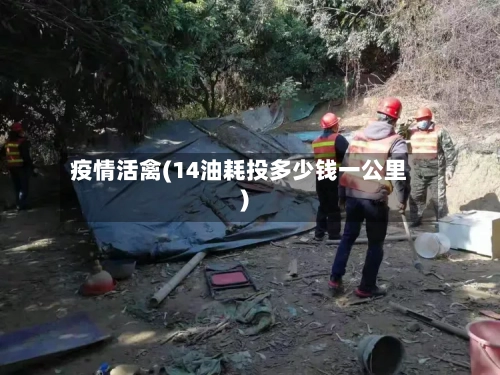 疫情活禽(14油耗投多少钱一公里)-第2张图片