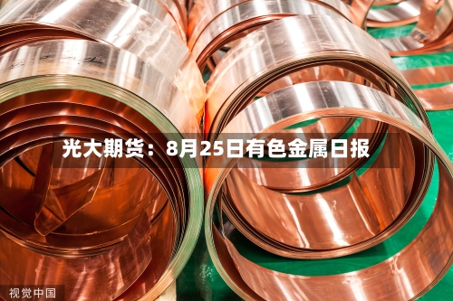 光大期货：8月25日有色金属日报-第2张图片