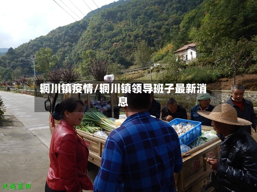 辋川镇疫情/辋川镇领导班子最新消息-第3张图片