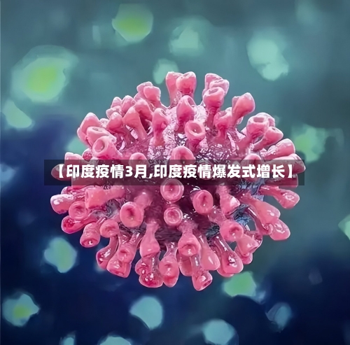 【印度疫情3月,印度疫情爆发式增长】-第2张图片