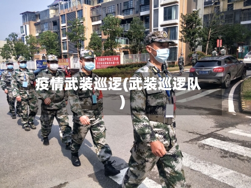 疫情武装巡逻(武装巡逻队)-第2张图片