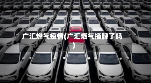 广汇燃气疫情(广汇燃气摘牌了吗)-第2张图片