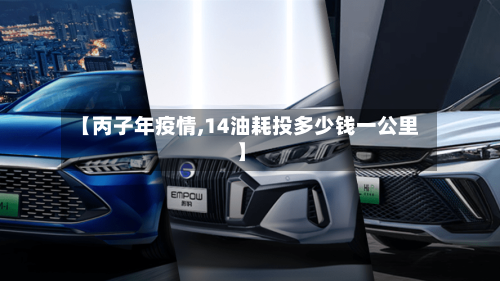 【丙子年疫情,14油耗投多少钱一公里】-第2张图片
