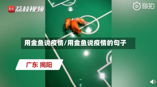 用金鱼说疫情/用金鱼说疫情的句子