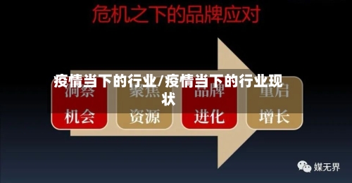 疫情当下的行业/疫情当下的行业现状