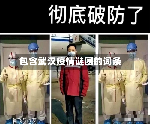 包含武汉疫情谜团的词条