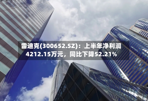 雷迪克(300652.SZ)：上半年净利润4212.15万元，同比下降52.21%-第2张图片