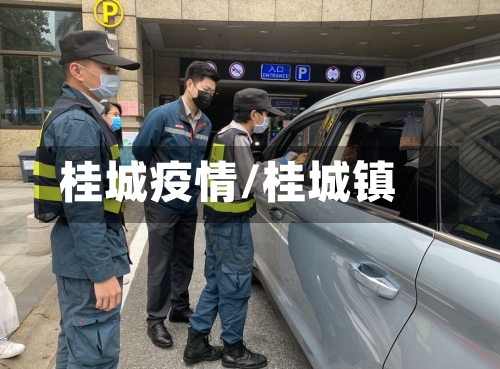 桂城疫情/桂城镇