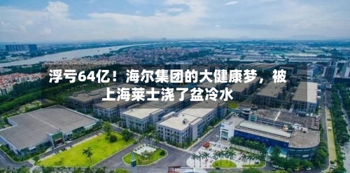 浮亏64亿！海尔集团的大健康梦	，被上海莱士浇了盆冷水-第2张图片