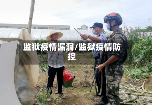 监狱疫情漏洞/监狱疫情防控
